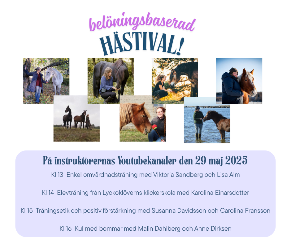 Belöningsbaserad hästival på Youtube den 29 maj
