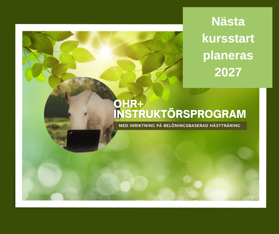 Ingen ny kursstart 2026